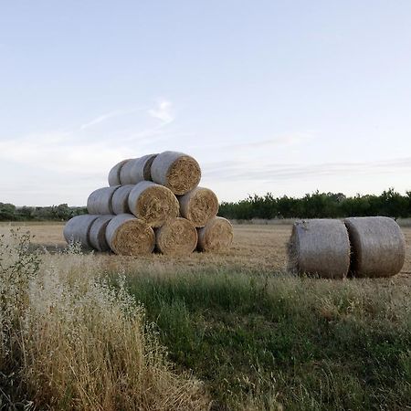 Agrimat Salento Sas Villa Alezio Ngoại thất bức ảnh