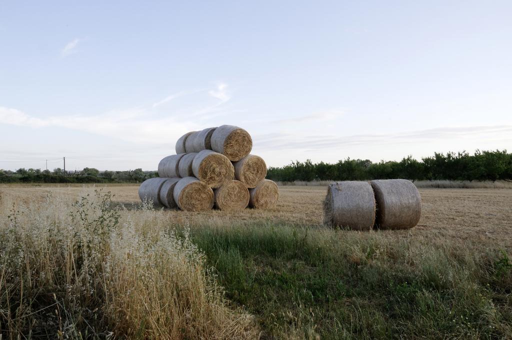 Agrimat Salento Sas Villa Alezio Ngoại thất bức ảnh