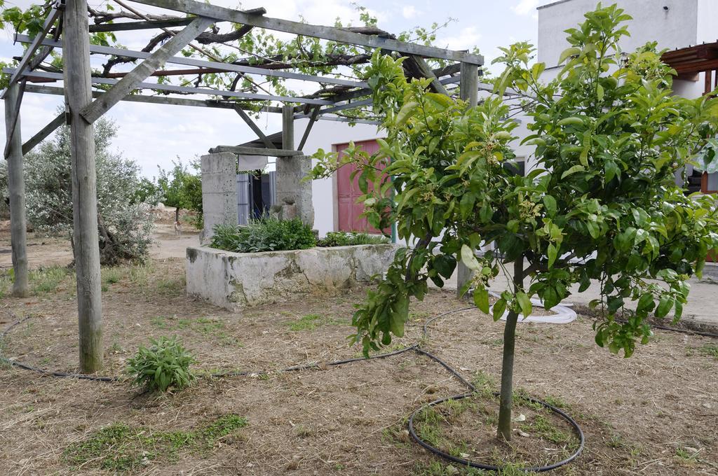 Agrimat Salento Sas Villa Alezio Ngoại thất bức ảnh