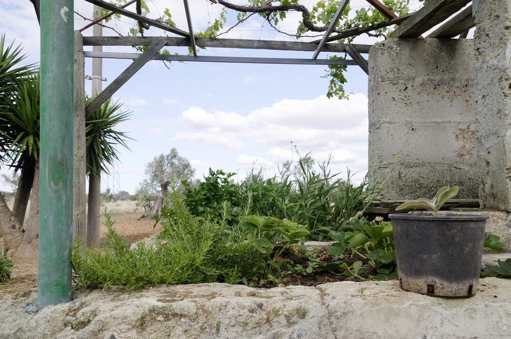 Agrimat Salento Sas Villa Alezio Ngoại thất bức ảnh